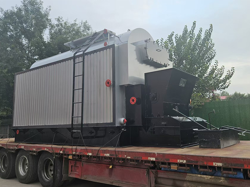 生物質(zhì)鏈條鍋爐